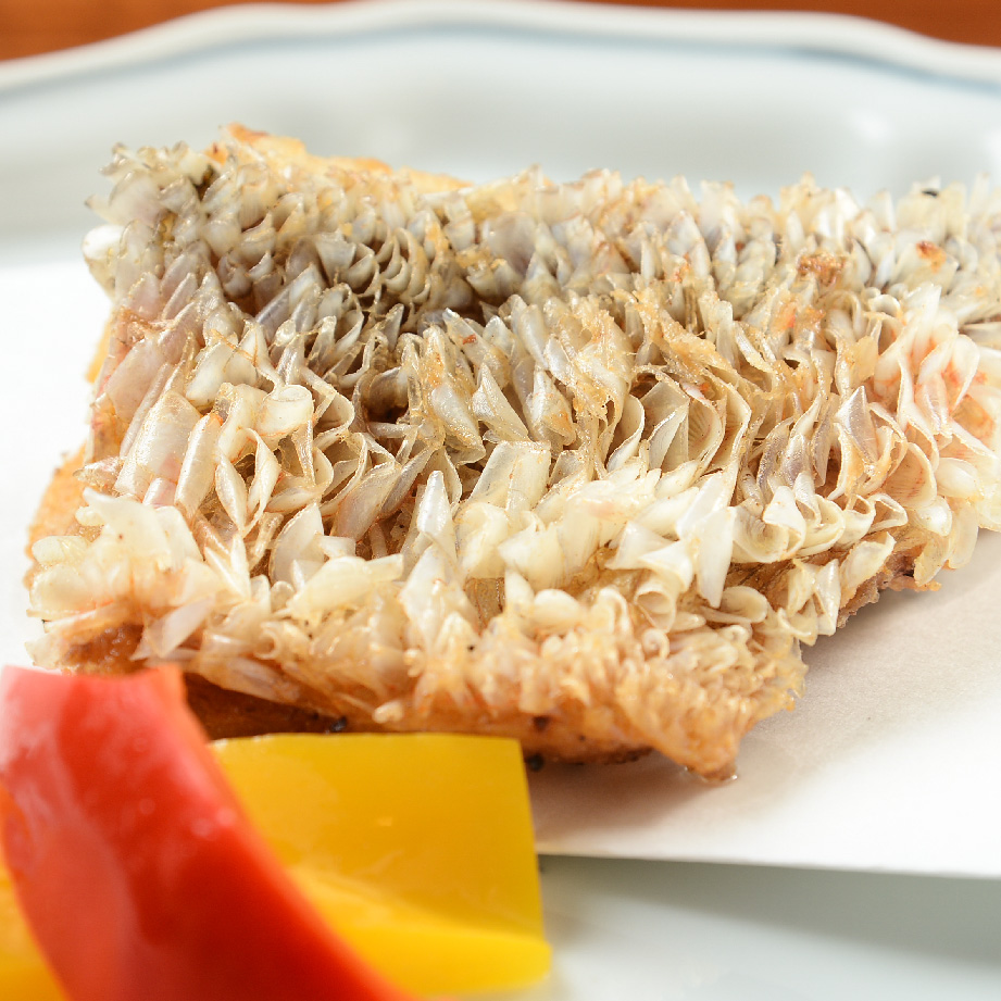 Latest Products Image